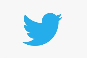 Twitter Music will keep the iconic blue bird.