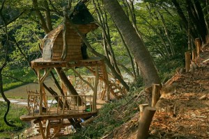 Takashi's tree house in Sendai, Japan.