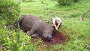 Rhino Thandi and Will Fowlds. Photo courtesy of Paul Mills.