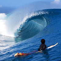 surf league_200